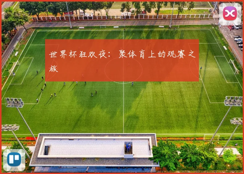 世界杯狂欢夜：聚体育上的观赛之旅