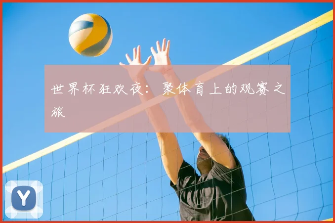 世界杯狂欢夜：聚体育上的观赛之旅