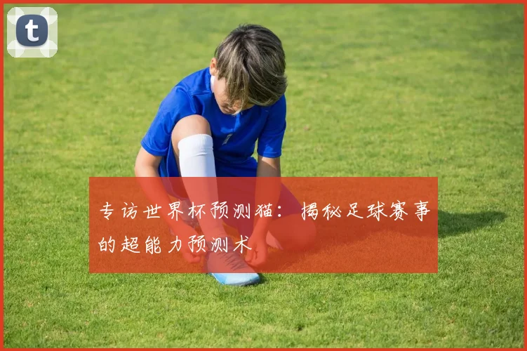 专访世界杯预测猫:揭秘足球赛事的超能力预测术