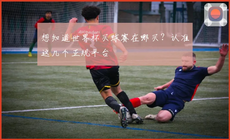 想知道世界杯买球赛在哪买？认准这几个正规平台