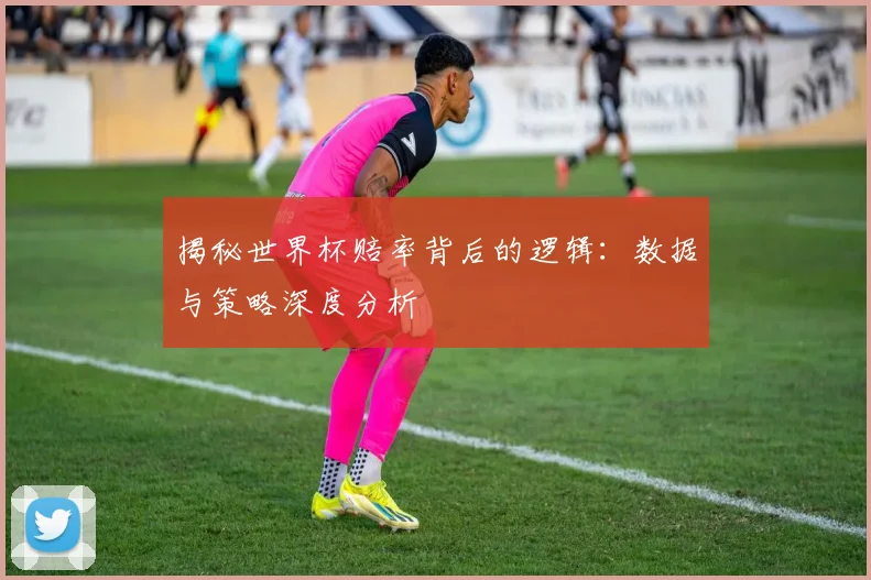 揭秘世界杯赔率背后的逻辑：数据与策略深度分析