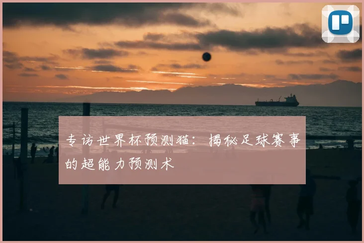 专访世界杯预测猫:揭秘足球赛事的超能力预测术