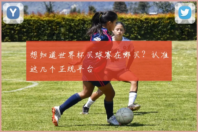 想知道世界杯买球赛在哪买？认准这几个正规平台