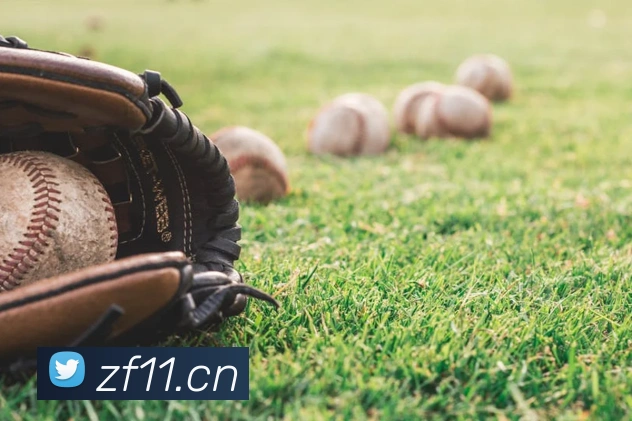 爱游戏全站app官方网站APP 封面图